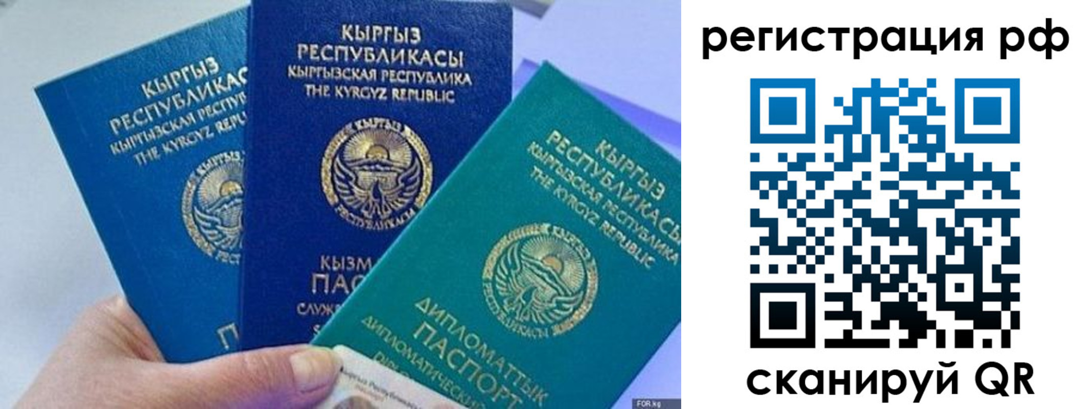 прописка для школы в Волгограде
